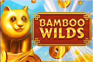 Bamboo-Wilds